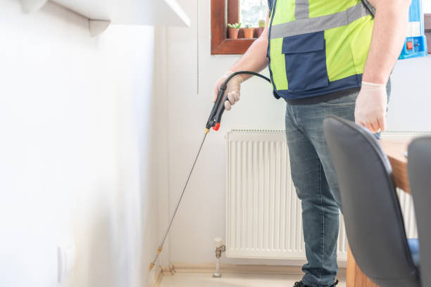 Flea Control Services in Thunderbolt, GA