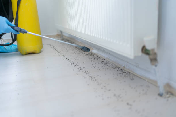 Best Bed Bug Extermination  in Thunderbolt, GA