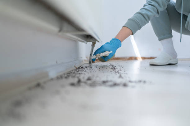 Best Pest Prevention Services  in Thunderbolt, GA